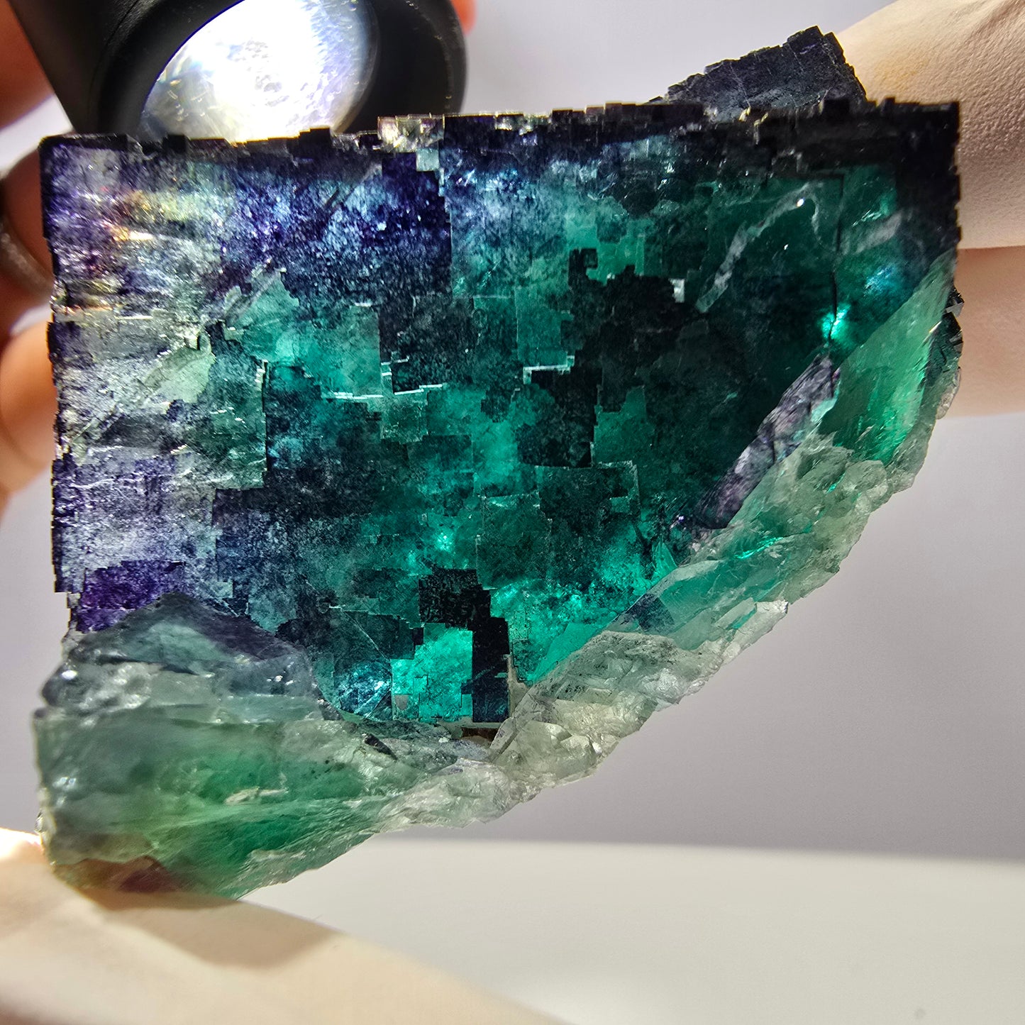 Spécimen de cube de fluorite fantôme parqueté vert violet Okorusu, Namibie 71*36*21mm 