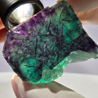 Spécimen de cube de fluorite fantôme parqueté vert violet Okorusu, Namibie 38*29*25 mm 