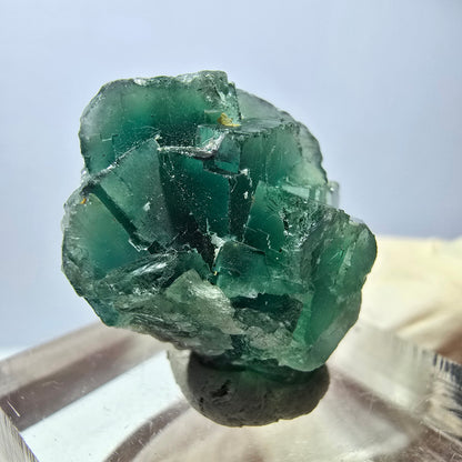 Seltene Phantom Fluorit Würfel Stufe, grün Okorusu, Namibia 22*21*13mm