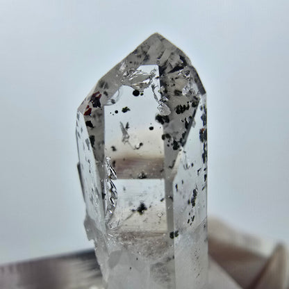 Quartz clair Harlequin Point Streep Mine, Goboboseb, Namibie 29 x 11 x 8 mm 