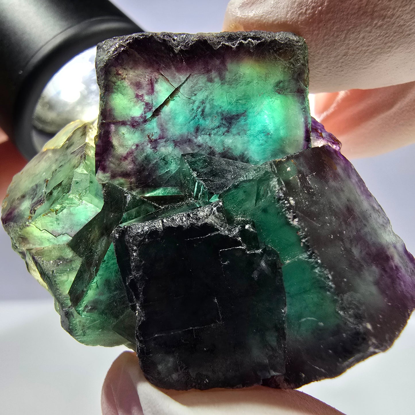 Spécimen de cube de fluorite fantôme parqueté vert violet Okorusu, Namibie 44*35*21mm 