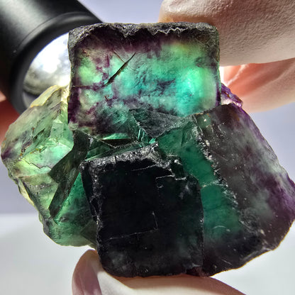 Spécimen de cube de fluorite fantôme parqueté vert violet Okorusu, Namibie 44*35*21mm 