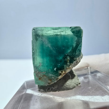 Cube de fluorite fantôme transparente parquetée, vert Okorusu, Namibie 15 x 15 x 13 mm 