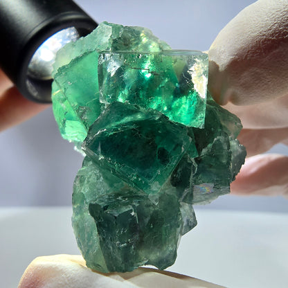 Spécimen de cube de fluorite fantôme transparente, vert parqueté, Okorusu, Namibie, 46 x 31 x 30 mm 