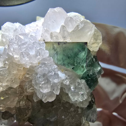 Rare cube de fluorite fantôme, spécimen de quartz vert violet Okorusu Namibie 48*42*28mm 