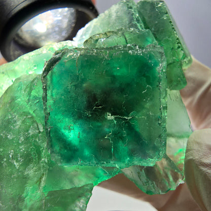 Spécimen de cube de fluorite fantôme transparente, vert parqueté, Okorusu, Namibie, 55 x 45 x 23 mm 