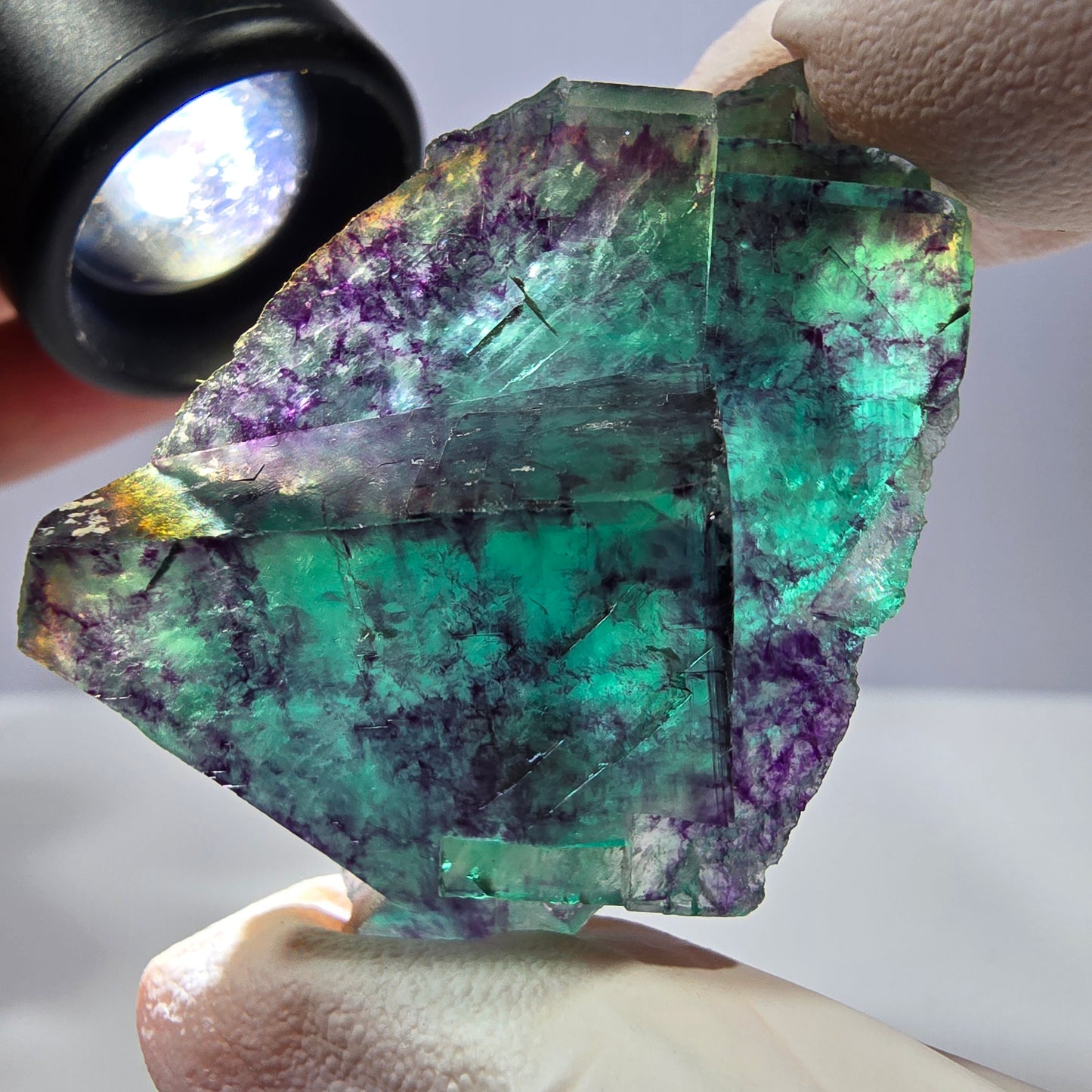 Spécimen de cube de fluorite fantôme, parqueté vert violet Okorusu, Namibie 49*30*22 mm 