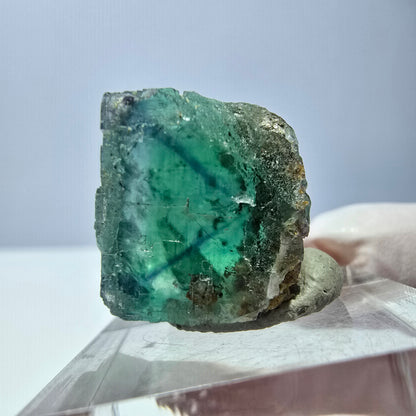 Cube de fluorite fantôme transparente parquetée, vert Okorusu, Namibie 22 x 17 x 16 mm 