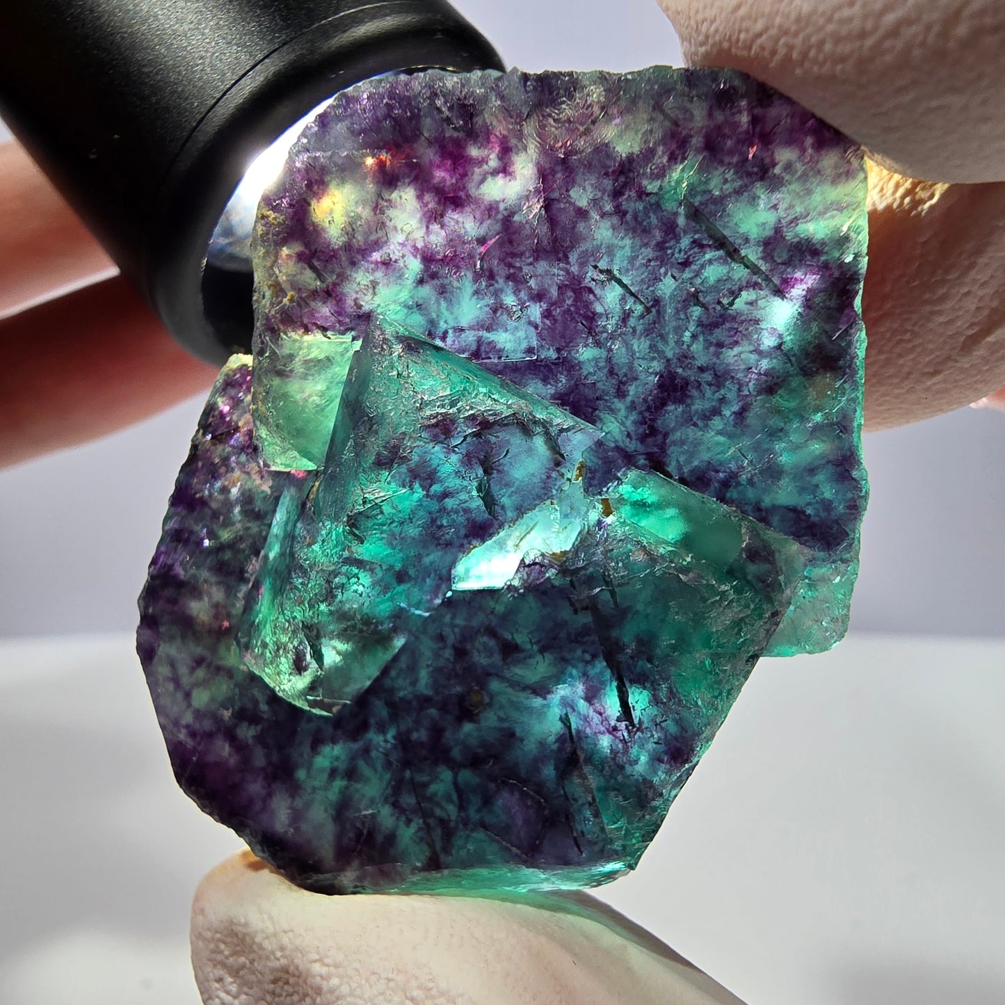 Spécimen de cube de fluorite fantôme, parqueté vert violet Okorusu, Namibie 51*35*16 mm 