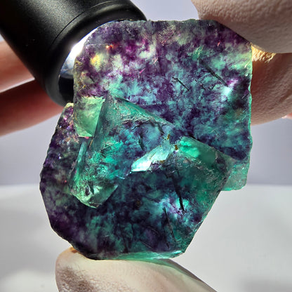 Spécimen de cube de fluorite fantôme, parqueté vert violet Okorusu, Namibie 51*35*16 mm 