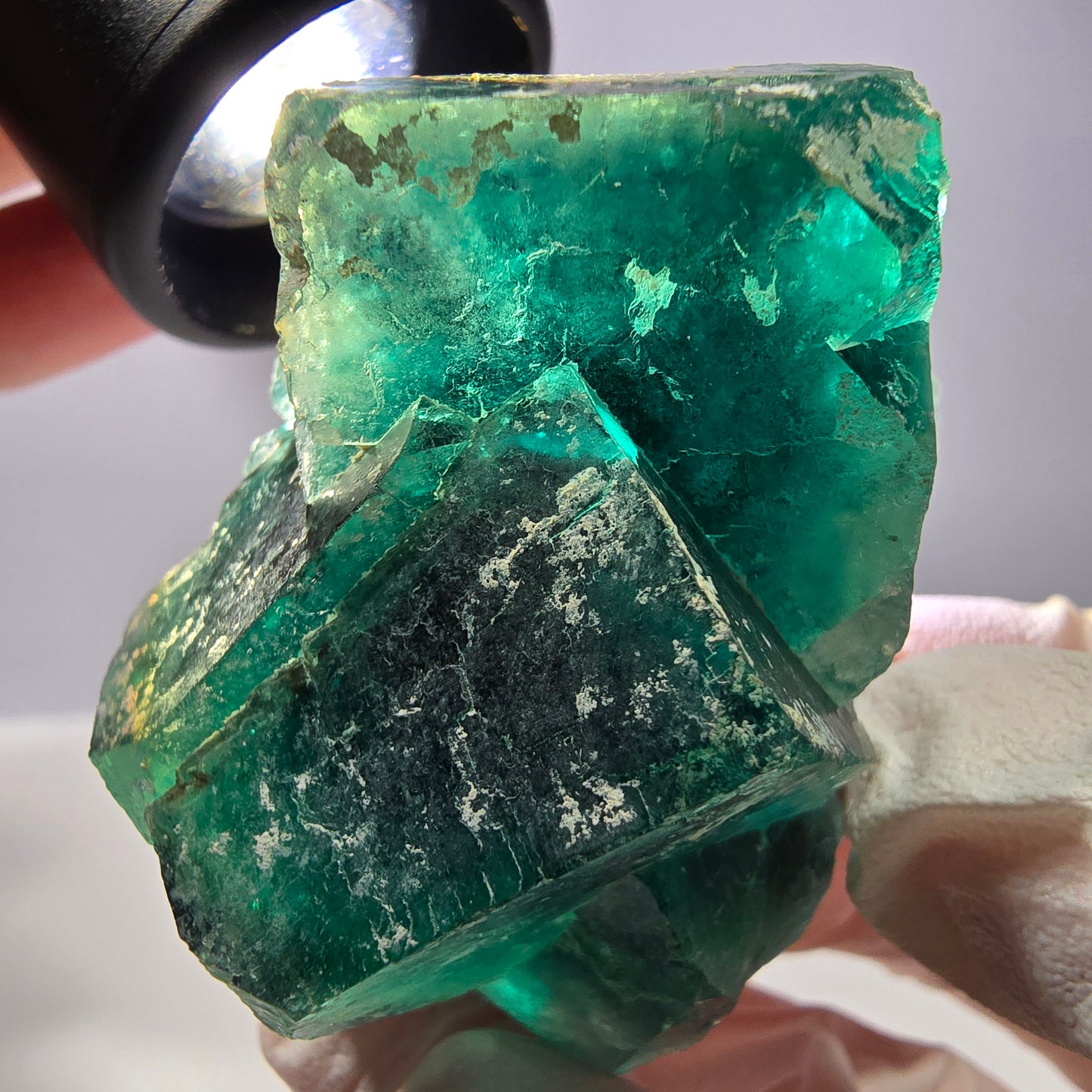 Spécimen de cube de fluorite fantôme, parqueté vert violet Okorusu, Namibie 51*46*28 mm 