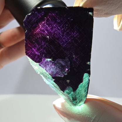 Spécimen de cube de fluorite fantôme vert violet zonal 11:11 Angel Pocket, Namibie 41*33*18mm 