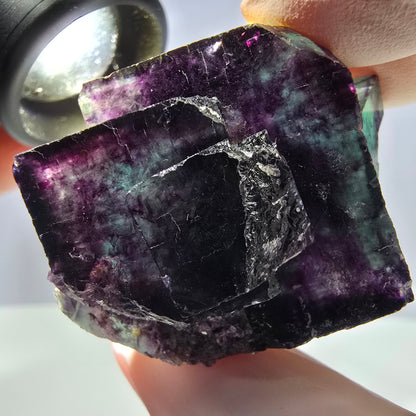 Spécimen de cube de fluorite fantôme parqueté vert violet Okorusu, Namibie 45*34*22mm 