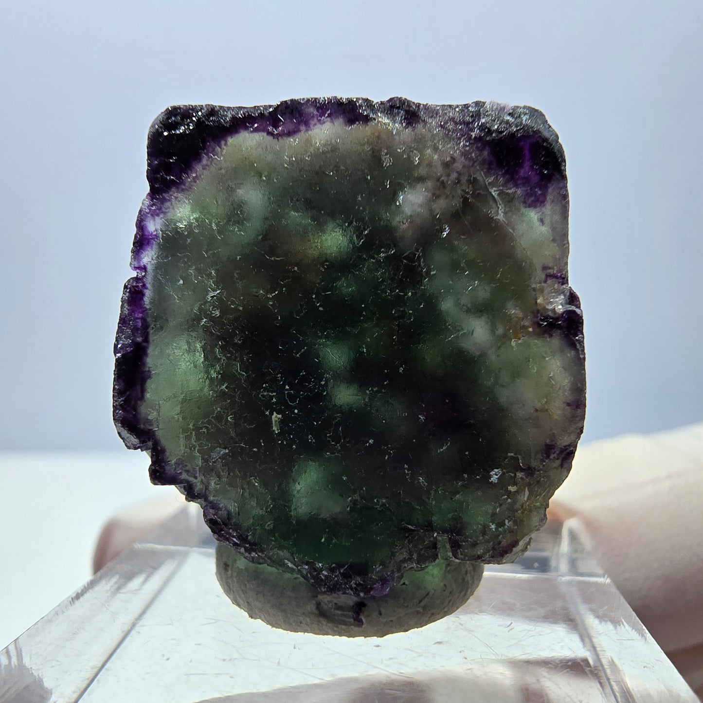 Phantom Fluorit Würfel Stufe, parkettiert, zonal Okorusu, Namibia 24*22*13mm