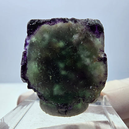 Phantom Fluorit Würfel Stufe, parkettiert, zonal Okorusu, Namibia 24*22*13mm