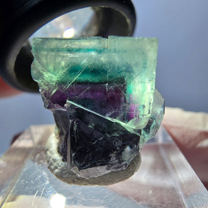 Spécimen de cube de fluorite fantôme, parqueté vert violet Okorusu, Namibie 19 x 18 x 15 mm 
