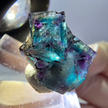 Spécimen de cube de fluorite fantôme, parqueté vert violet Okorusu, Namibie 20 x 15 x 12 mm 