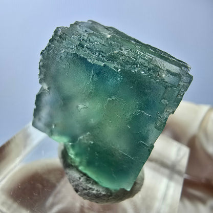 Cube de fluorite fantôme transparente parquetée, vert Okorusu, Namibie 19 x 18 x 15 mm 