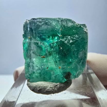 Klarer Phantom Fluorit Würfel parkettiert, grün Okorusu, Namibia 23*20*20mm