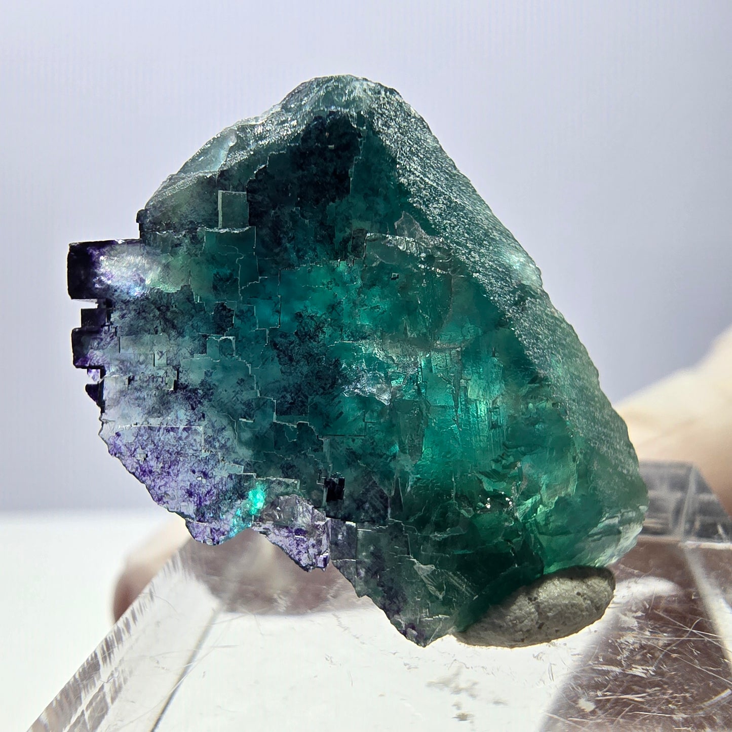 Phantom Fluorit Würfel Stufe, parkettiert grün lila Okorusu, Namibia 27*19*15mm