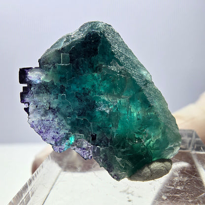 Phantom Fluorit Würfel Stufe, parkettiert grün lila Okorusu, Namibia 27*19*15mm