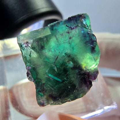 Phantom Fluorit Würfel Stufe, parkettiert grün lila Okorusu, Namibia 14*13*13mm