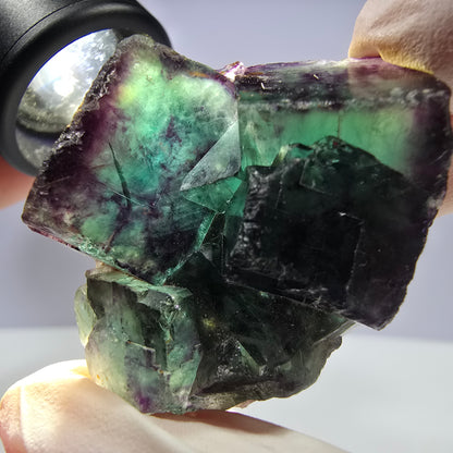 Spécimen de cube de fluorite fantôme parqueté vert violet Okorusu, Namibie 44*35*21mm 