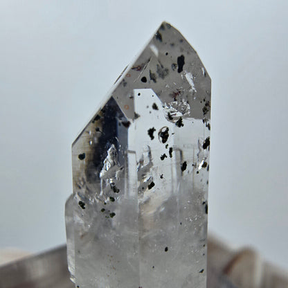 Quartz clair Harlequin Point Streep Mine, Goboboseb, Namibie 29 x 11 x 8 mm 