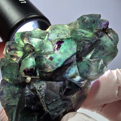 Spécimen de cube de fluorite fantôme, parqueté vert violet Okorusu, Namibie 64*41*19 mm 