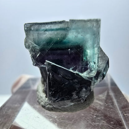 Spécimen de cube de fluorite fantôme, parqueté vert violet Okorusu, Namibie 19 x 18 x 15 mm 