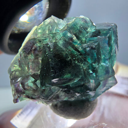 Spécimen de cube de fluorite fantôme, parqueté vert violet Okorusu, Namibie 27*24*17 mm 