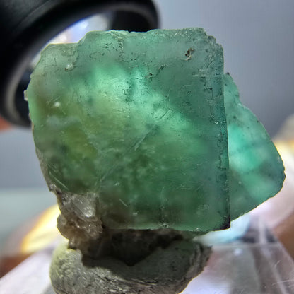 Phantom Fluorit Würfel Stufe, grün parkettiert Okorusu, Namibia 23*23*22mm