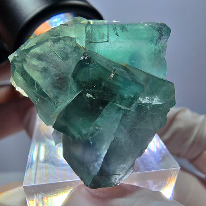 Spécimen de cube de fluorite fantôme, parquet vert Okorusu, Namibie 37 x 30 x 27 mm 