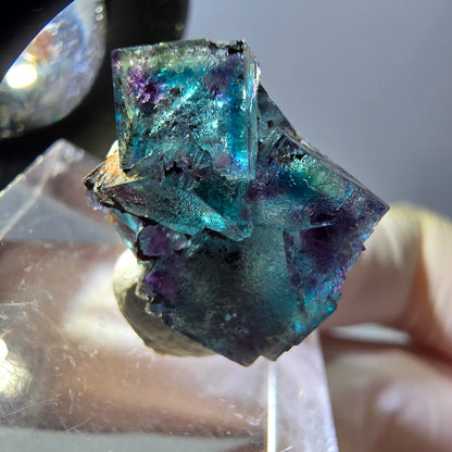 Spécimen de cube de fluorite fantôme, parqueté vert violet Okorusu, Namibie 20 x 15 x 12 mm 
