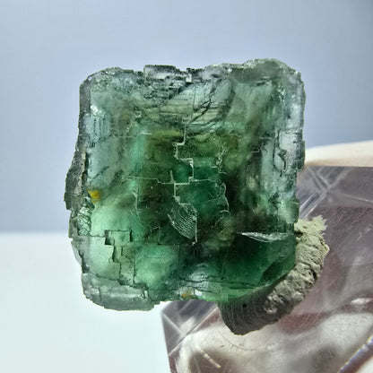 Cube de fluorite fantôme transparente parquetée, vert Okorusu, Namibie 23 x 21 x 15 mm 