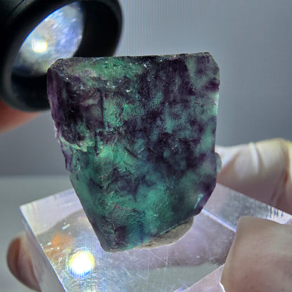 Phantom Fluorit Würfel Stufe, parkettiert grün lila Okorusu, Namibia 21*19*14mm
