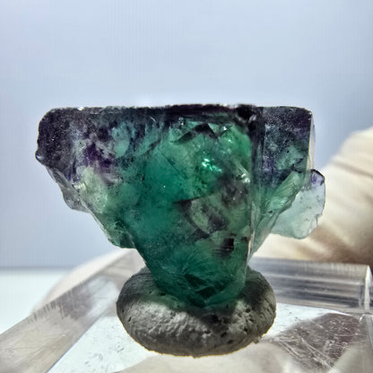 Spécimen de cube de fluorite fantôme, parqueté vert violet Okorusu, Namibie 25*18*14 mm 