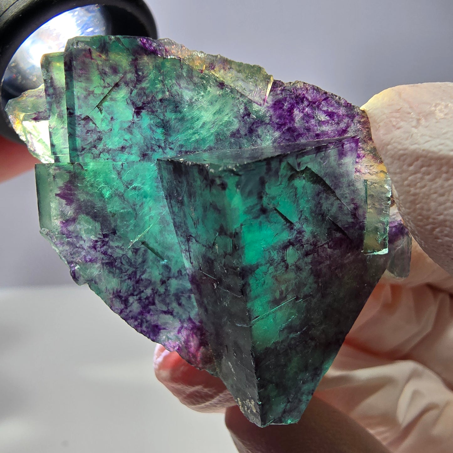 Spécimen de cube de fluorite fantôme, parqueté vert violet Okorusu, Namibie 49*30*22 mm 