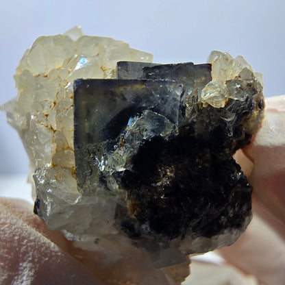 Rare cube de fluorite fantôme, spécimen de quartz vert violet Okorusu Namibie 34*28*25mm 