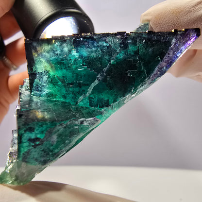 Spécimen de cube de fluorite fantôme parqueté vert violet Okorusu, Namibie 71*36*21mm 