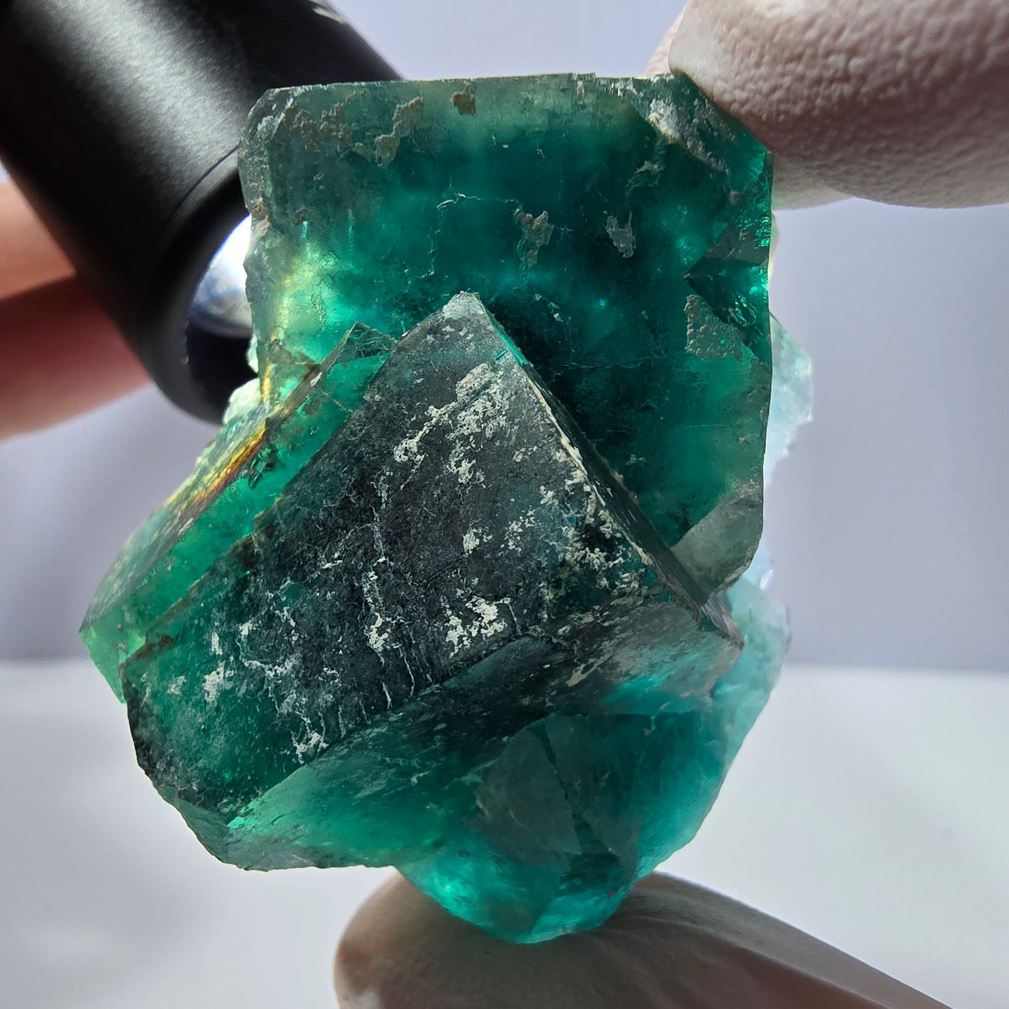 Spécimen de cube de fluorite fantôme, parqueté vert violet Okorusu, Namibie 51*46*28 mm 