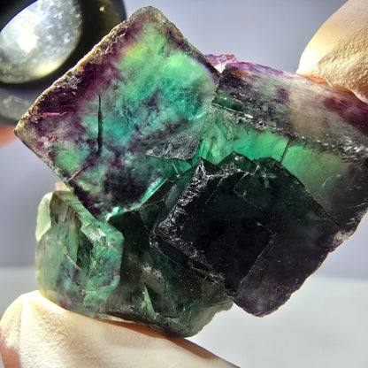 Spécimen de cube de fluorite fantôme parqueté vert violet Okorusu, Namibie 44*35*21mm 