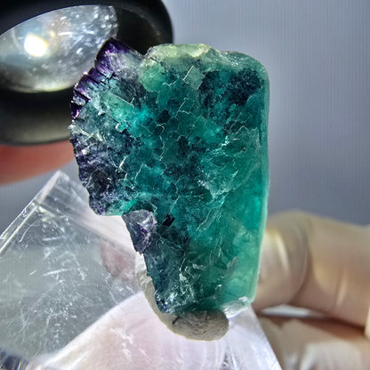 Phantom Fluorit Würfel Stufe, parkettiert grün lila Okorusu, Namibia 27*19*15mm