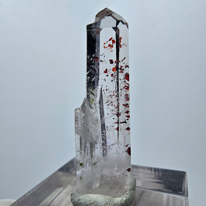 Quartz clair Harlequin Mine Point Streep, Goboboseb, Namibie 34 x 11 x 8 mm 