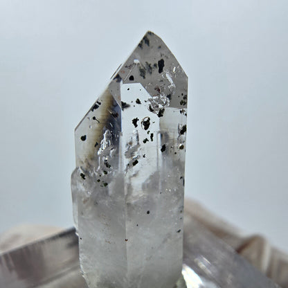 Quartz clair Harlequin Point Streep Mine, Goboboseb, Namibie 29 x 11 x 8 mm 