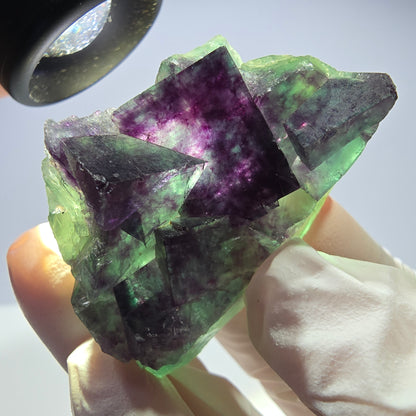 Spécimen de cube de fluorite fantôme parqueté vert violet Okorusu, Namibie 48*26*26mm 