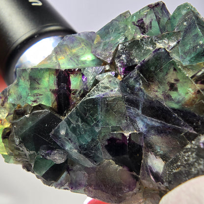 Spécimen de cube de fluorite fantôme, parqueté vert violet Okorusu, Namibie 64*41*19 mm 