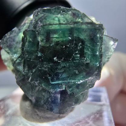 Spécimen de cube de fluorite fantôme, parqueté vert violet Okorusu, Namibie 27*24*17 mm 