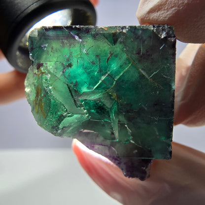 Spécimen de cube de fluorite fantôme parqueté vert violet Okorusu, Namibie 34*31*24mm 
