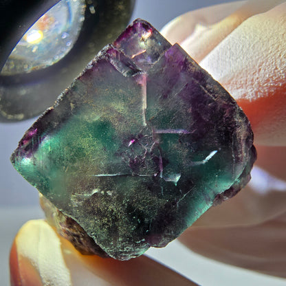 Spécimen de cube de fluorite fantôme parqueté vert violet Okorusu, Namibie 34*26*21mm 